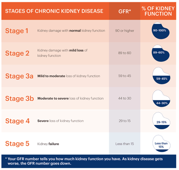 kidney alternative treatment herbs kuala lumpur malaysia