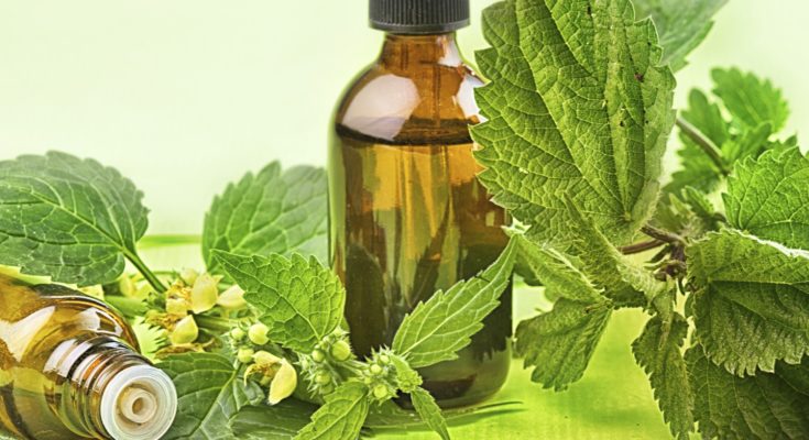 kidney alternative treatment herbs kuala lumpur malaysia